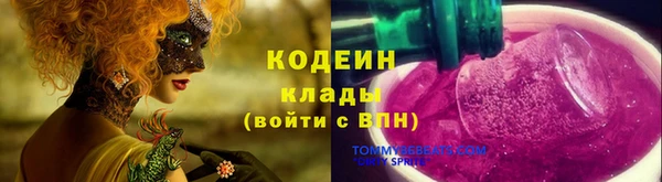 прущие грибы Балахна