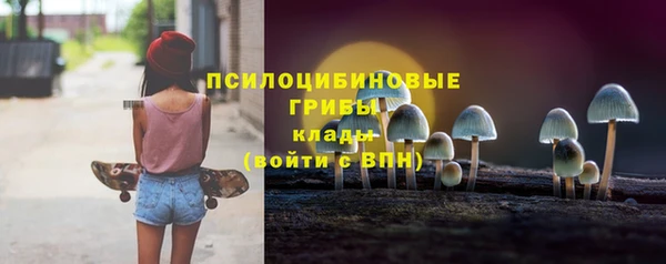 гидра Сосновый Бор