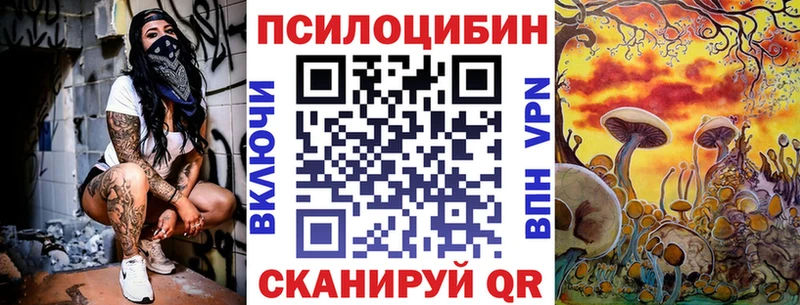 Галлюциногенные грибы Psilocybine cubensis  Владимир 