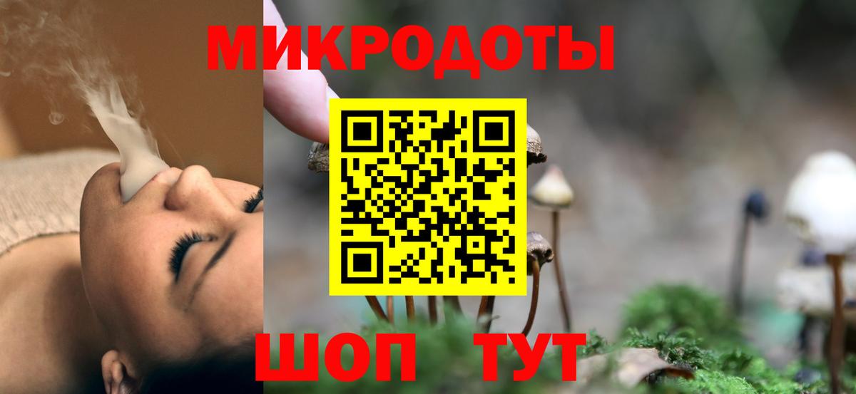 Псилоцибиновые грибы MAGIC MUSHROOMS  Вход с VPN  Псилоцибиновые грибы мицелий  Владимир 