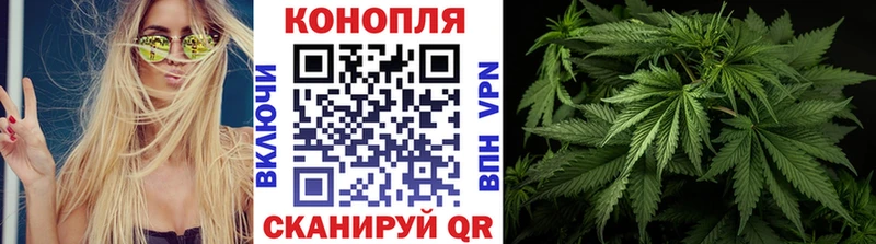blacksprut ССЫЛКА  Владимир  Шишки марихуана сатива 